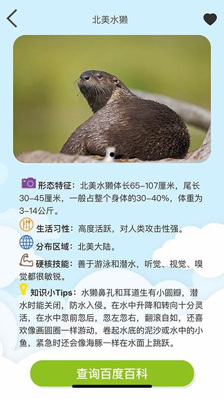 volnauapp最新版下载,volnau,动物识别app